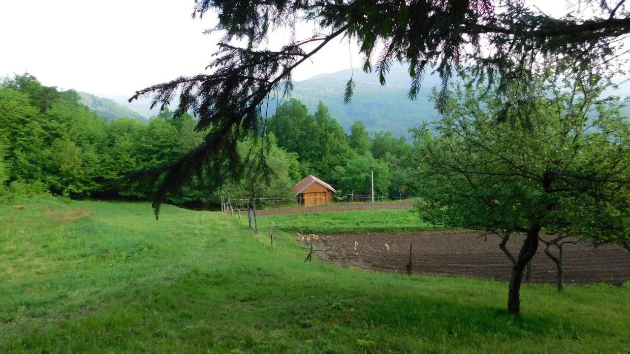 Robinzonski Turizam "Robin' S Hood" Skrad Exterior foto